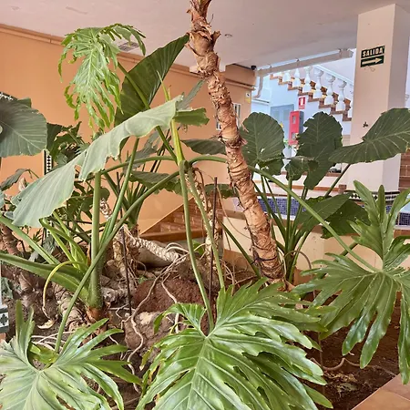 דירה Panoramic Paradise Tenerife Ocean View & Comfort