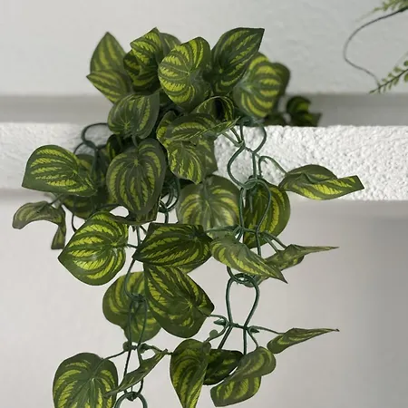 Panoramic Paradise Tenerife Ocean View & Comfort * אדחה