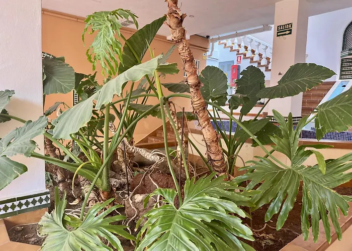 公寓 Panoramic Paradise Tenerife Ocean View & Comfort