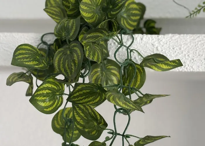 Panoramic Paradise Tenerife Ocean View & Comfort * Адехе